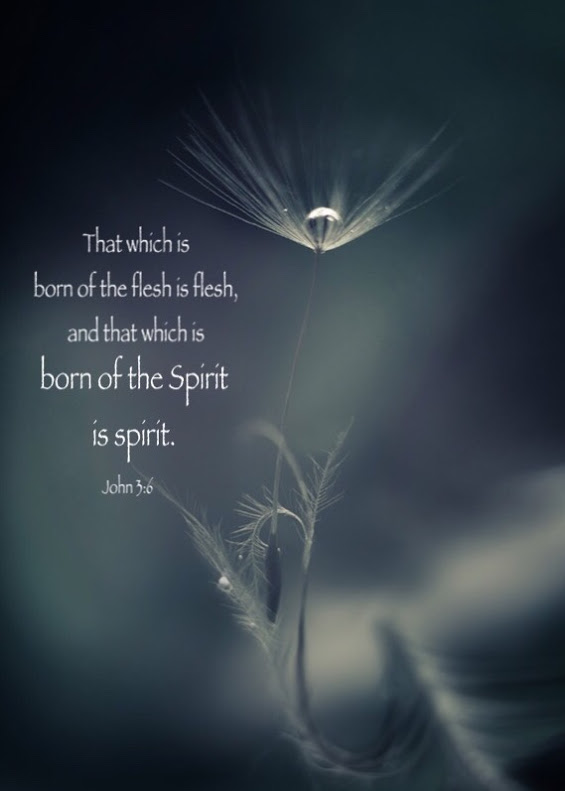 John 3:6 That which is born of the flesh is flesh, and that which is born of the Spirit is spirit.