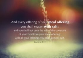 Lev. 2:13 And every offering of your meal offering you shall season with salt, and you shall not omit the salt of the covenant of your God from your meal offering