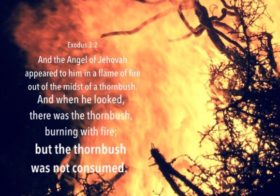 Exo. 3:2 And the Angel of Jehovah appeared to him in a flame of fire out of the midst of a thornbush….but the thornbush was not consumed.