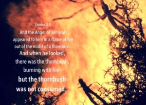 Exo. 3:2 And the Angel of Jehovah appeared to him in a flame of fire ...