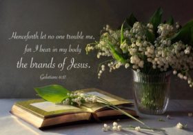 Gal. 6:17 Henceforth let no one trouble me, for I bear in my body the brands of Jesus