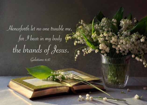 Gal. 6:17 Henceforth let no one trouble me, for I bear in my body the brands of Jesus.