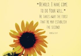 Hebrews 10:9 He then has said, “Behold, I have come to do Your will.” He takes away the first that He may establish the second