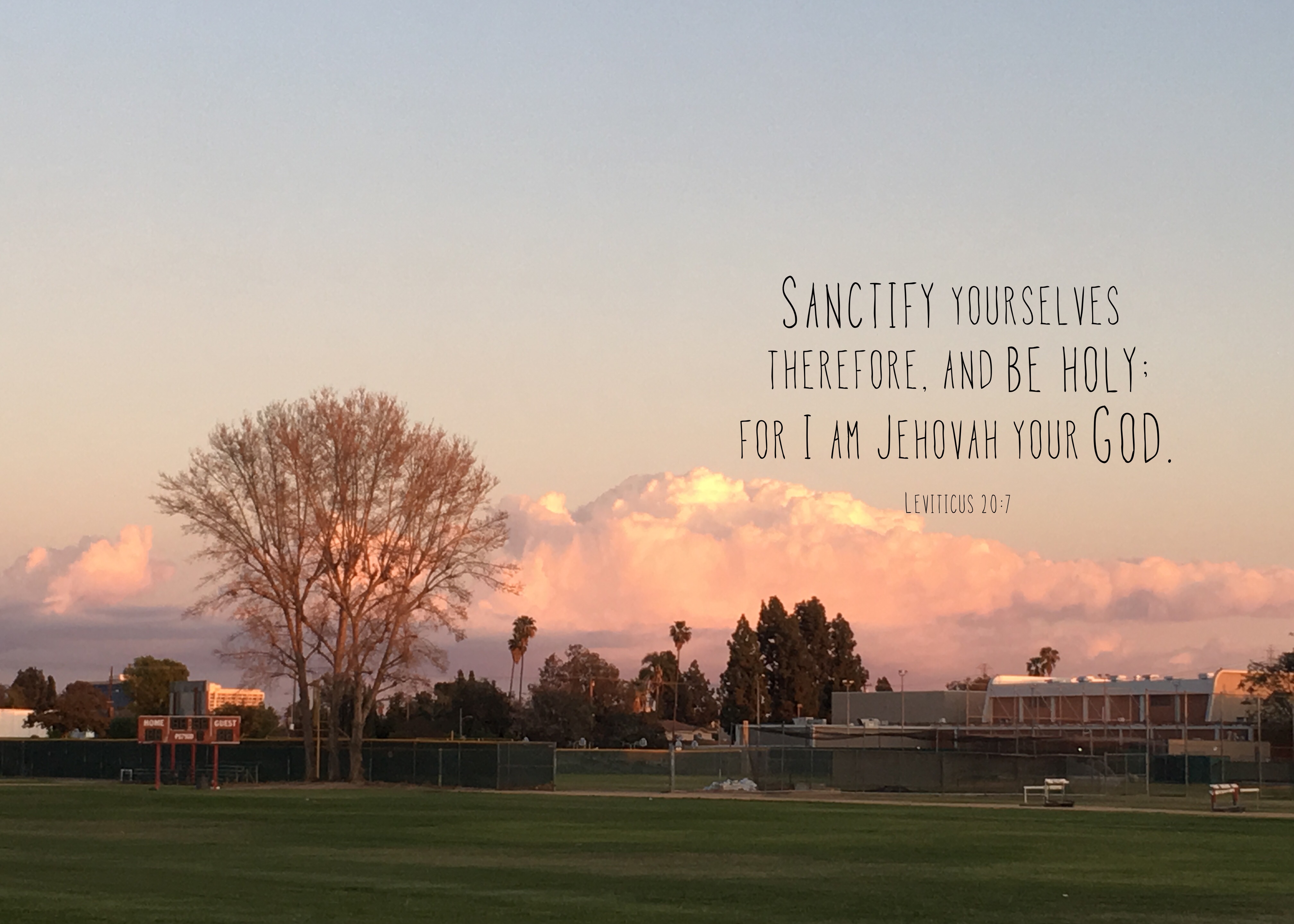 Lev. 20:7 Sanctify yourselves therefore, and be holy; for I am Jehovah your God.