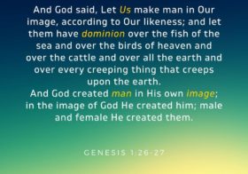 Gen. 1:26-27 And God said, Let Us make man in Our image, according to Our likeness